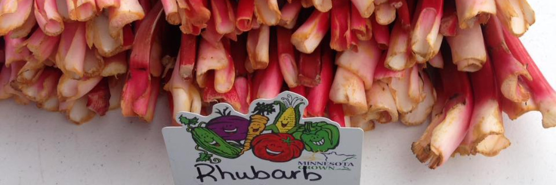 Fresh Rhubarb